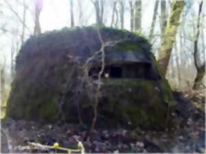 photo Vestiges de guerre en forêt