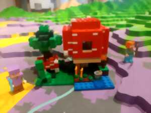 photo Atelier tout public : Minecraft à la Seigneurie