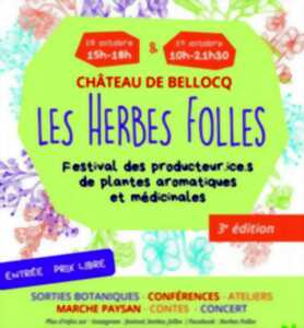 photo Festival : Les Herbes folles