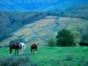 photo Randonnée à cheval