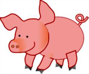 photo Saint Cochon