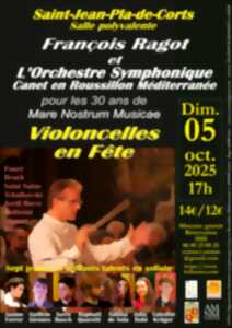 photo VIOLONCELLES EN FÊTE