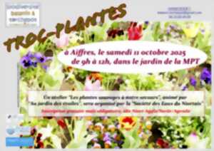 photo Troc plantes à Aiffres