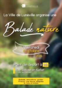 photo Balade nature