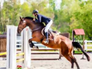 photo Concours de saut d’obstacles