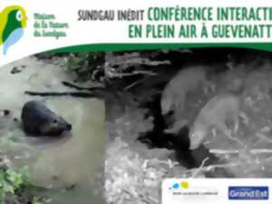 photo Conférence interactive en plein air à Guevenhatten