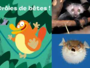 photo Exposition Drôles de bêtes !