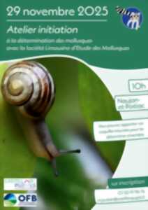 photo Atelier initiation à la détermination des mollusques