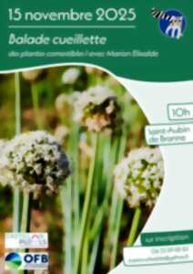 photo Balade cueillette de plantes comestibles
