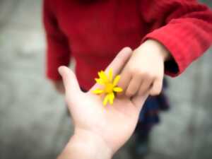 photo Atelier parent/enfant