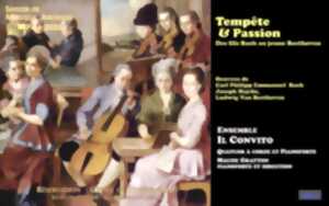 photo “Tempête & Passion - Des fils Bach au jeune Beethoven