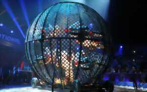 photo CIRQUE DE NOEL 2025