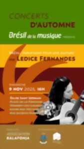 photo Brésil de la musique : concert