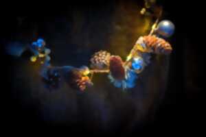 photo Atelier : guirlandes rhénanes