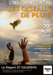 photo CINÉ-RENCONTRE : LES OISEAUX DE PLUIE