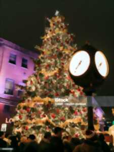 photo Visites guidées