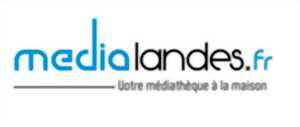 photo Atelier Numérique Médialandes : ressources numériques à portée de clics