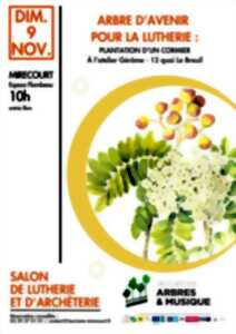 photo Salon de lutherie et d'archèterie - Arbre d'avenir pour la lutherie plantation d'un cormier