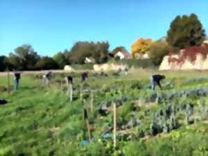 photo Animation vie du sol