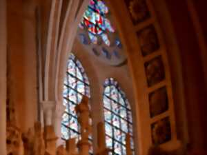 photo Visites guidées : Secrets et mysticisme dans la Cathédrale par Sandie Chapiseau