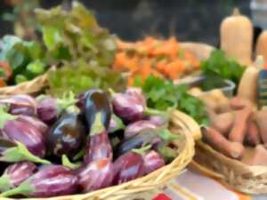 photo MERCAT DE LA TERRA