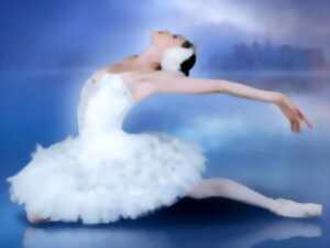 photo « LE LAC DES CYGNES »