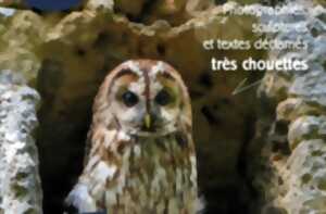 photo Vernissage d'exposition de Laurent Chauveton