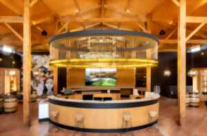 photo Masterclass Vins et Chocolats