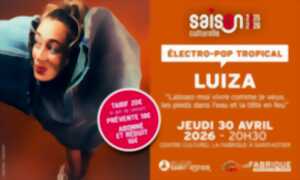 photo Concert : Luiza