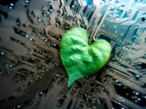 photo Atelier numérique Gratuit : Mieux utiliser le numérique pour préserver demain