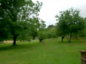 photo Une journée au verger