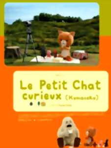 photo Komaneko, petit chat curieux