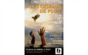 photo Les Oiseaux de Pluie