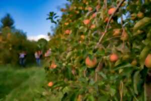photo Portes ouvertes aux vergers