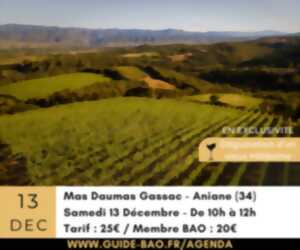 photo RDV GOURMAND D'EXCEPTION - MAS DE DAUMAS GASSAC