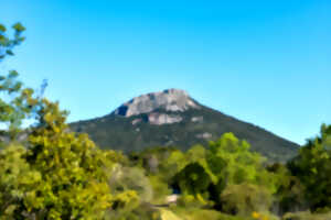 photo À LA DÉCOUVERTE DES OISEAUX DU PIC DU VISSOU