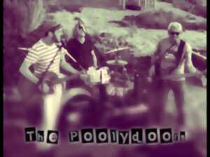 photo NOËL MAGIQUE AVEC LES POOLYDOORS