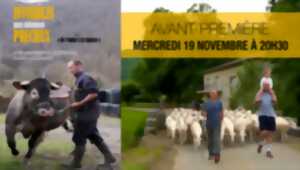 photo CINÉ RENCONTRE : INVISIBLES MAIS INFINIMENT PRÉCIEUX