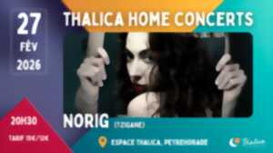 photo Thalica Home Concerts : Norig (Tzigane)