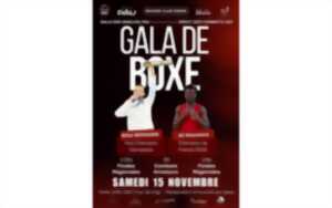 photo Gala de boxe