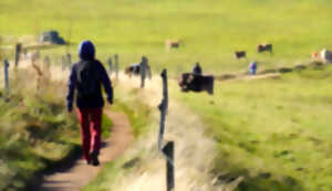 Téléthon Monbazillac | Marche