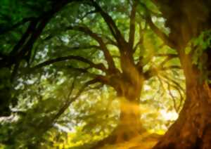 photo Atelier “Fresque de la biodiversité ”