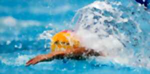 photo Match de water-polo N2 Masculine