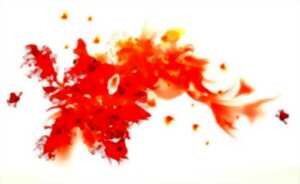 photo Ici & là : exposition de David Delenclos