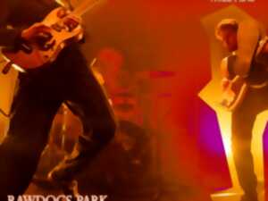 photo Concert Baron Crâne et Bliss