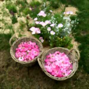 Ateliers DIY : apprendre à faire des cosmétiques maison