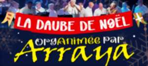 photo La Daube de Noël par Arraya !