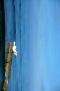 Tentative de vol - Performance de Kristina Depaulis