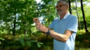 photo Balade botanique