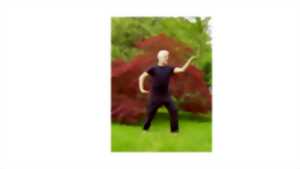 photo Atelier d'initiation au Qi-Gong - 29 novembre 2025 - Ligueux 24